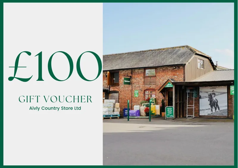 Aivly Gift Voucher 100 GBP - Emailed